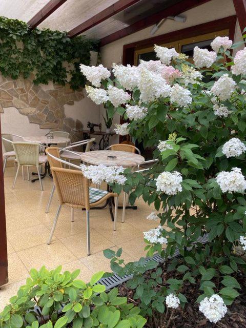 Guest house Harmonia